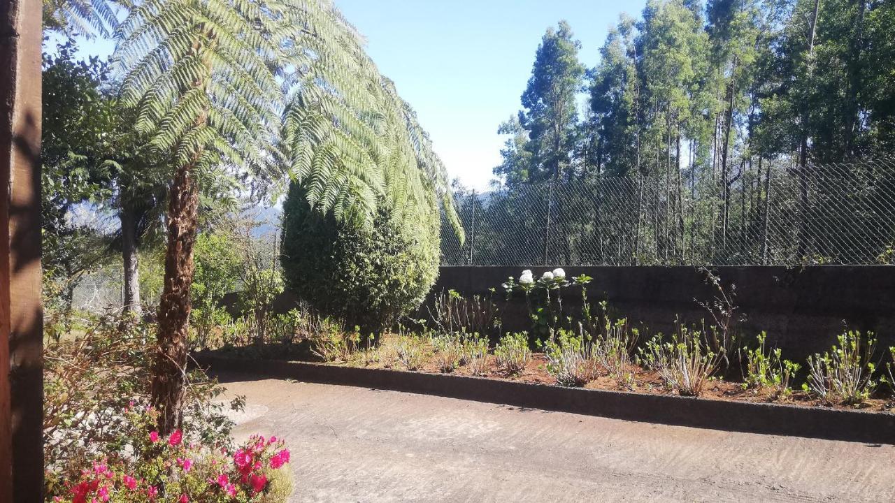 Chalet Pico Das Pedras Santana  Luaran gambar