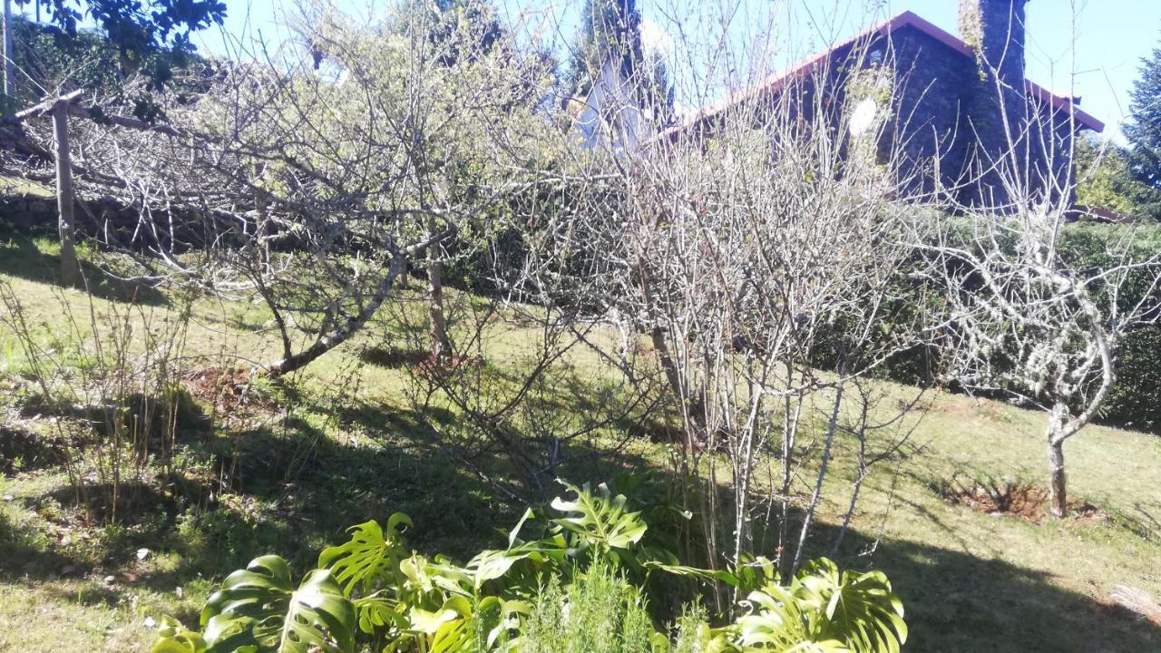 Chalet Pico Das Pedras Santana  Luaran gambar