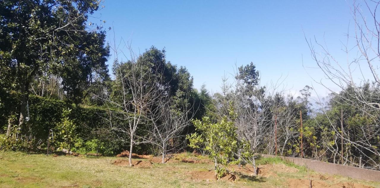 Chalet Pico Das Pedras Santana  Luaran gambar