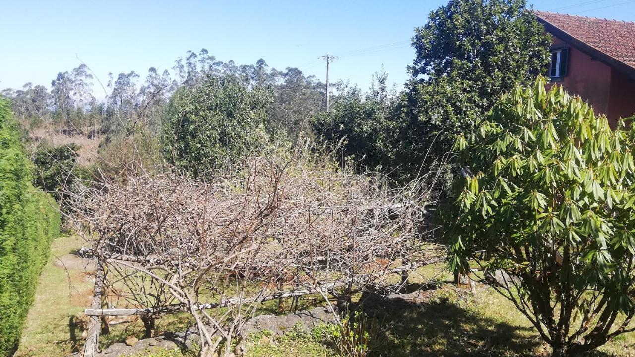 Chalet Pico Das Pedras Santana  Luaran gambar