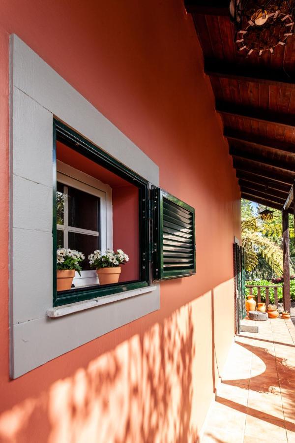 Chalet Pico Das Pedras Santana  Luaran gambar