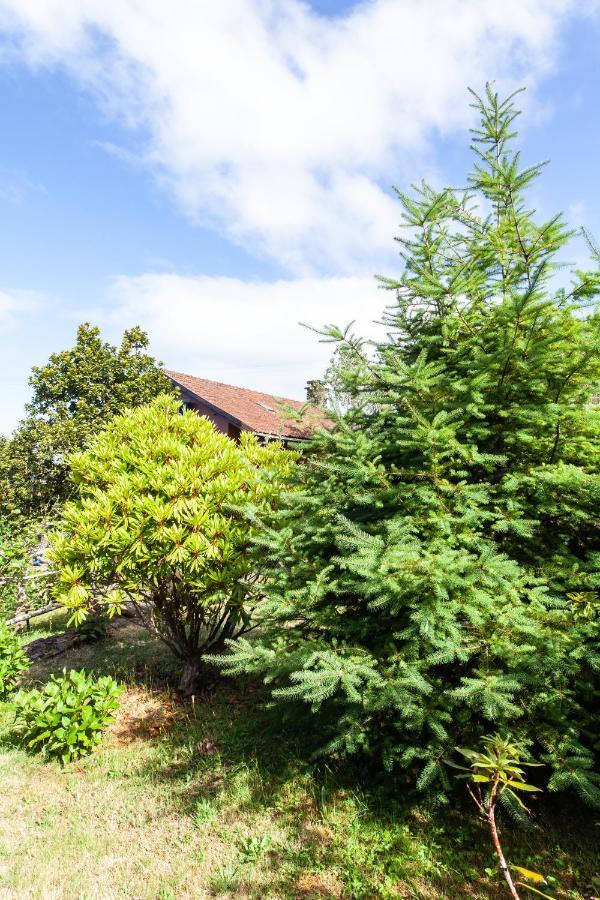 Chalet Pico Das Pedras Santana  Luaran gambar