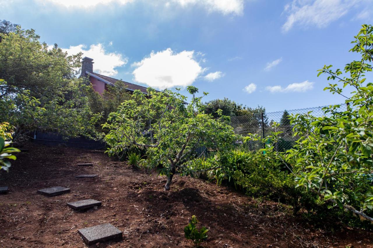 Chalet Pico Das Pedras Santana  Luaran gambar